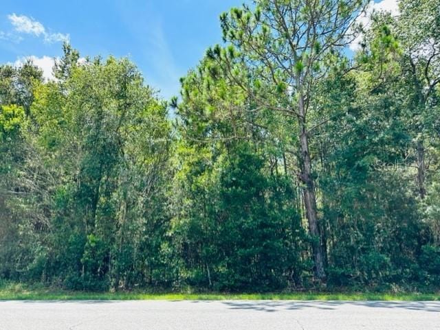 705 SW 4th Ave, Chiefland FL, 32626 land for sale