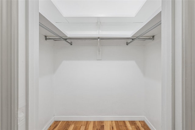 spacious closet featuring wood-type flooring