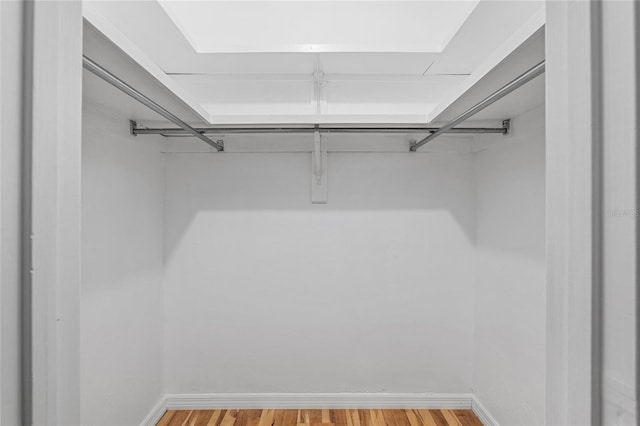 spacious closet with wood-type flooring