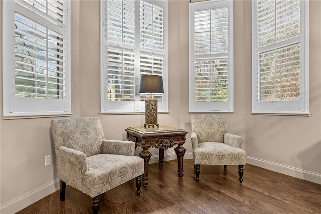 sitting room with wood-type flooring