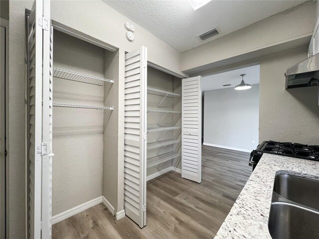 closet with sink