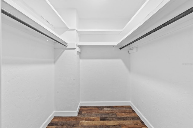 walk in closet featuring dark hardwood / wood-style floors