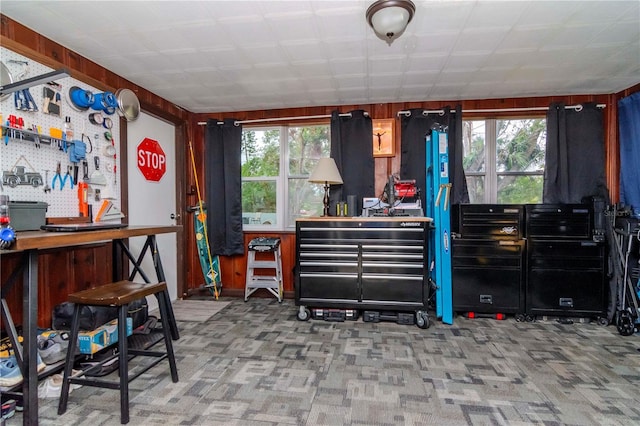 misc room featuring wooden walls and carpet