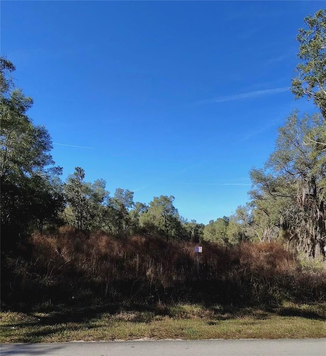 153 Gordon Chapel Rd, Hawthorne FL, 32640 land for sale