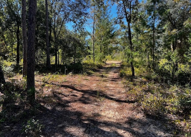 146 Westwood Dr, Interlachen FL, 32148 land for sale