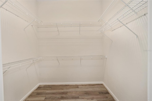 walk in closet with hardwood / wood-style flooring