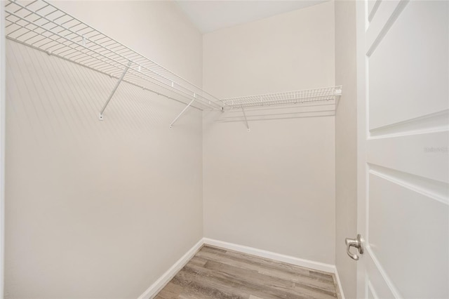 walk in closet with hardwood / wood-style floors