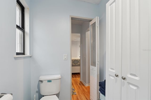 bathroom with wood-type flooring and toilet