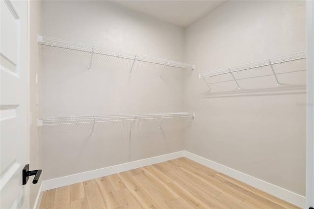 spacious closet featuring hardwood / wood-style flooring