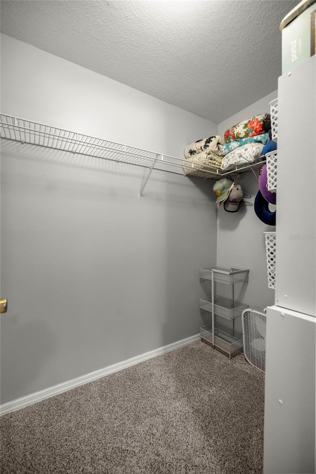 spacious closet featuring carpet floors