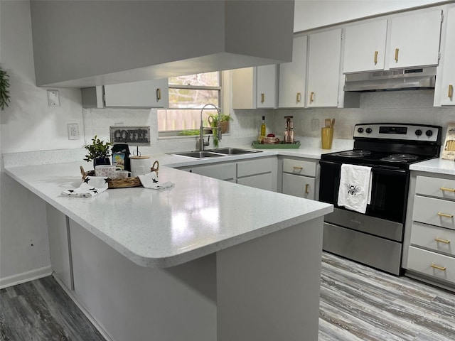 kitchen featuring a fireplace, sink, kitchen peninsula, light wood-type flooring, and stainless steel electric range