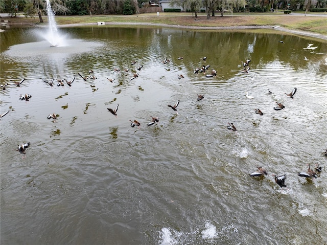 view of water feature