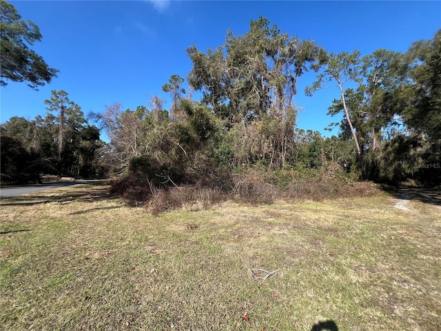 15416 SW 175th Ave, Archer FL, 32618 land for sale