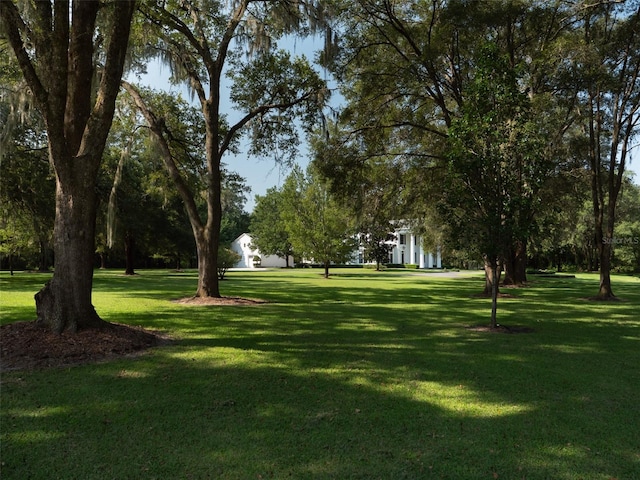 surrounding community featuring a lawn