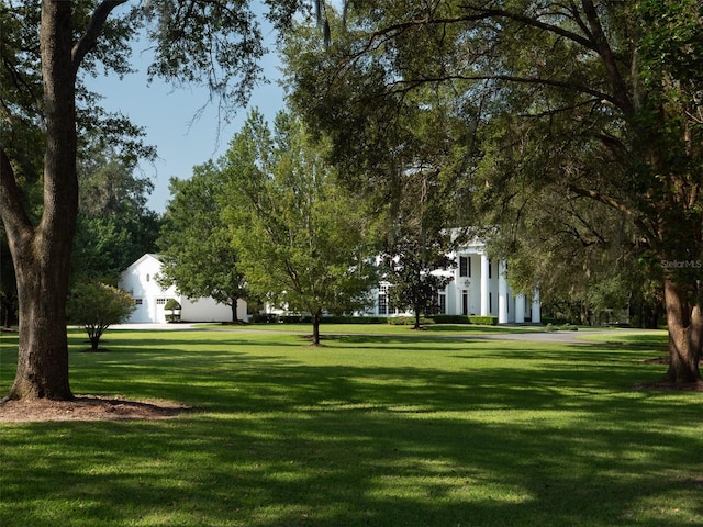 view of home's community with a yard