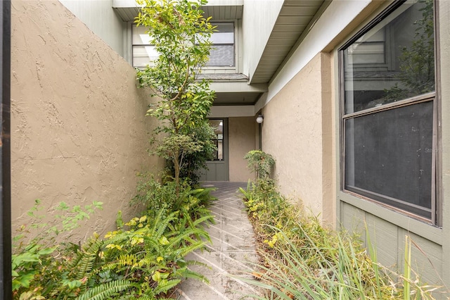 entrance to property with stucco siding