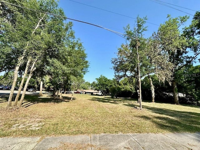 Listing photo 2 for 610 N Main St, High Springs FL 32643