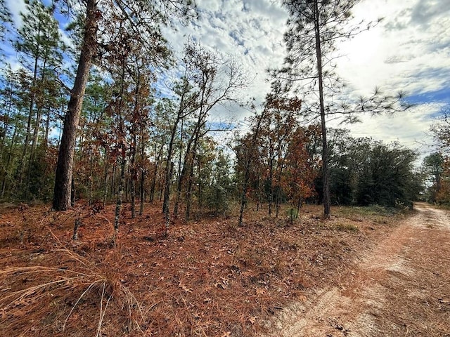 NE 104th Ct, Bronson FL, 32621 land for sale