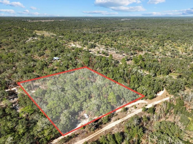 NE 130th Ave, Bronson FL, 32621 land for sale