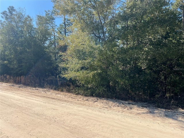 Ne 142 Avenue, Williston FL, 32696 land for sale