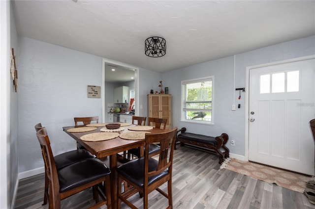 dining space featuring hardwood / wood-style flooring