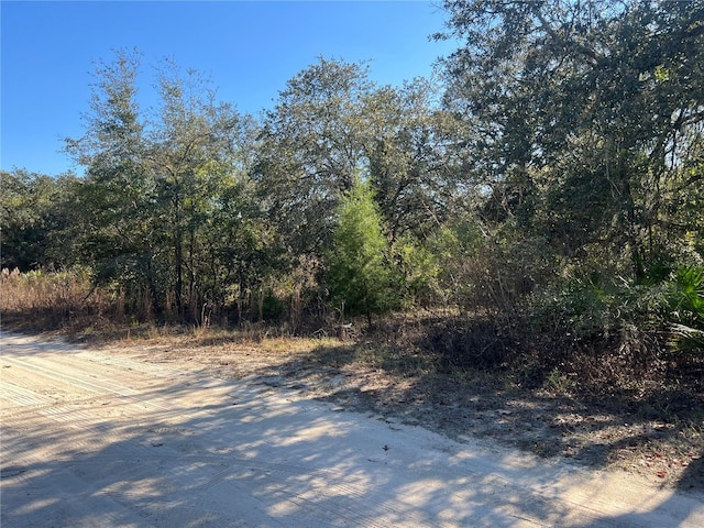 Ne 62 Lane, Williston FL, 32696 land for sale