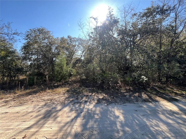 Listing photo 3 for Ne 62 Lane, Williston FL 32696