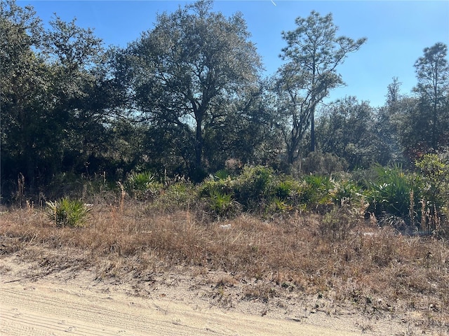 Ne 62 Lane, Williston FL, 32696 land for sale