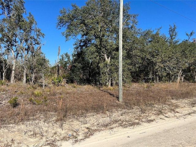 Ne 62 Lane, Williston FL, 32696 land for sale