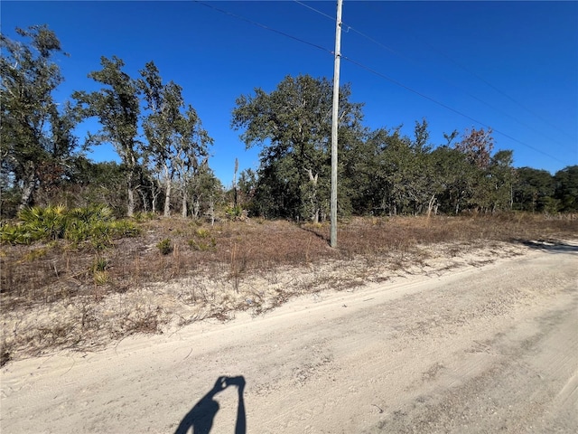 Listing photo 2 for Ne 62 Lane, Williston FL 32696