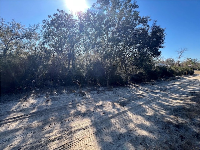 Ne 67 Lane, Williston FL, 32696 land for sale