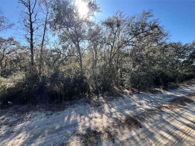 Ne 67 Lane, Williston FL, 32696 land for sale