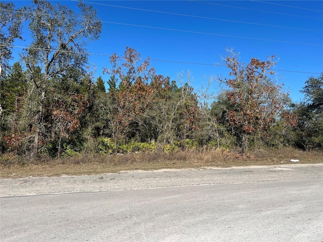 Ne 69 Lane, Williston FL, 32696 land for sale