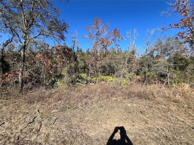 Listing photo 3 for Ne 69 Lane, Williston FL 32696