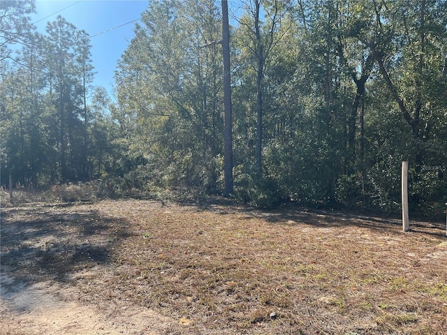 Ne 93 Avenue, Bronson FL, 32621 land for sale