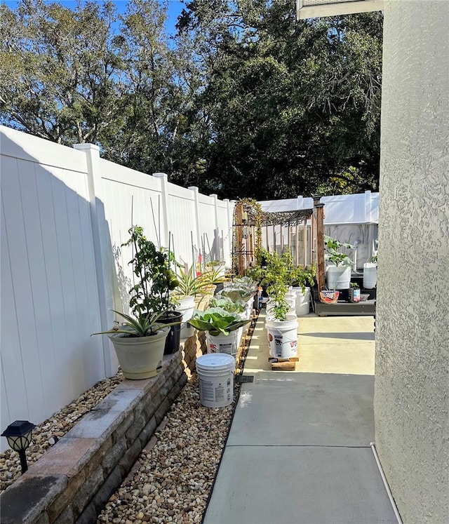 view of yard featuring a patio area