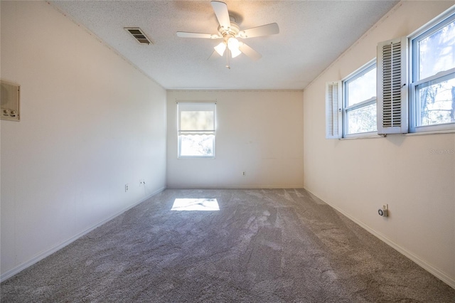 empty room featuring ceiling fan, plenty of natural light, carpet, and a textured ceiling