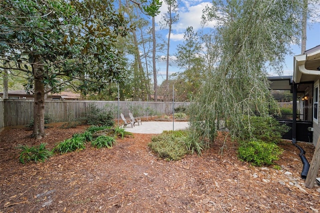 view of yard featuring a patio area