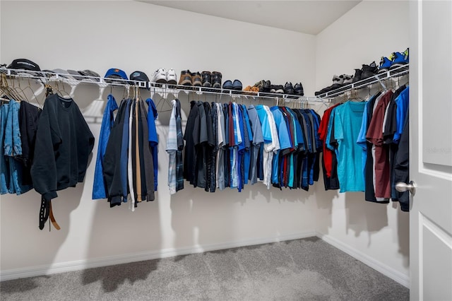 spacious closet with carpet