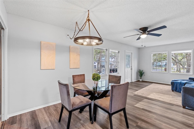 dining space featuring hardwood / wood-style floors, a textured ceiling, and a healthy amount of sunlight