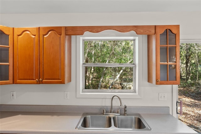 kitchen with sink