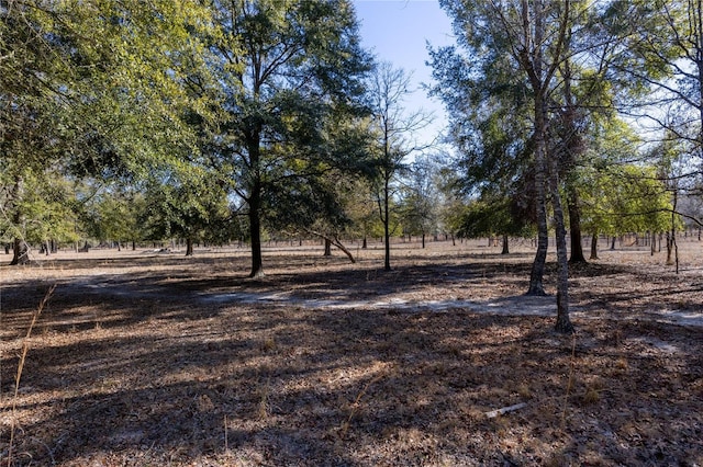 view of yard with a rural view