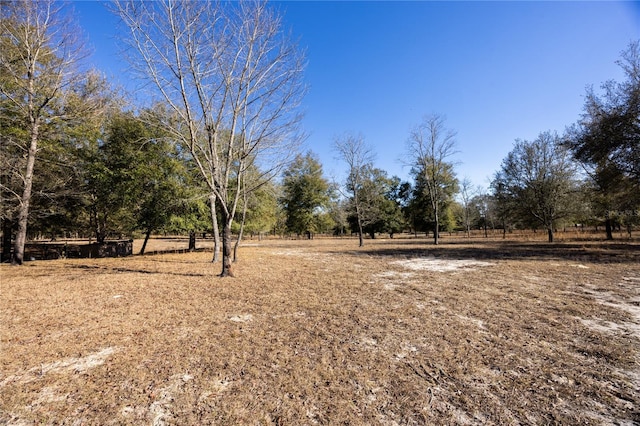 view of yard with a rural view