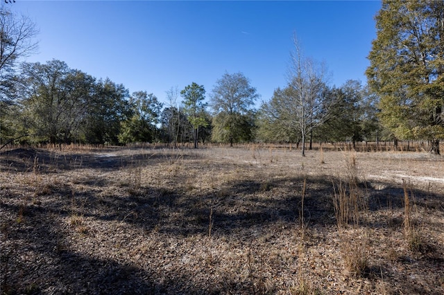 view of landscape with a rural view