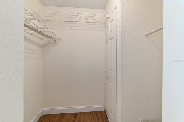 walk in closet with hardwood / wood-style floors