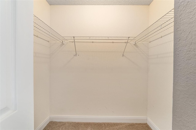 walk in closet featuring carpet flooring