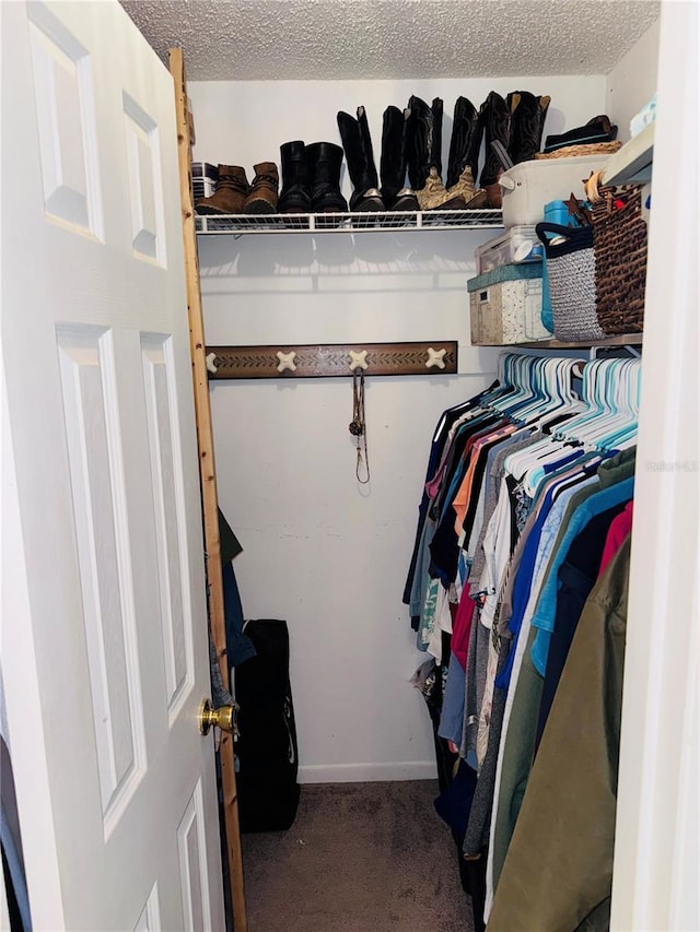 walk in closet featuring carpet flooring