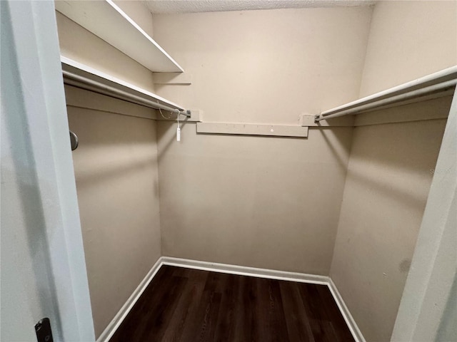 spacious closet featuring dark wood-type flooring