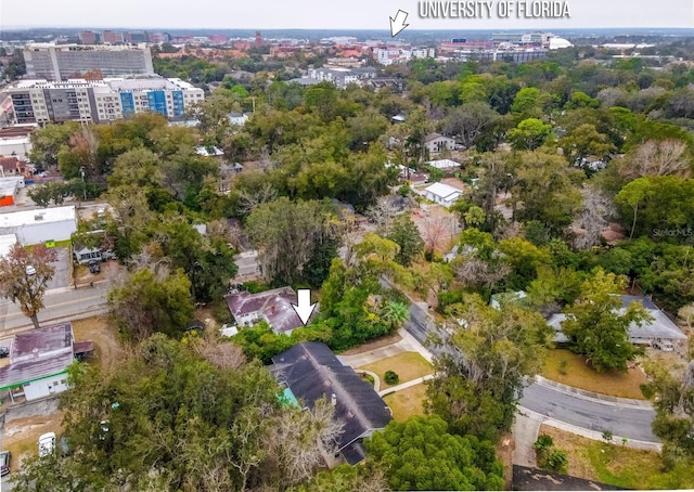 aerial view