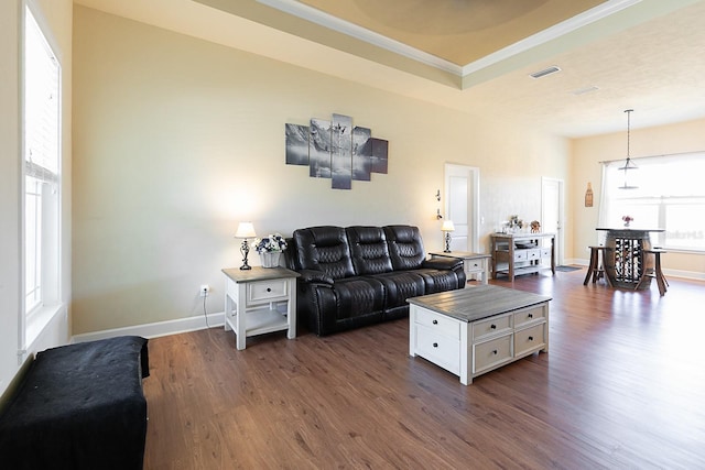 living room featuring crown molding and dark wood-type flooring